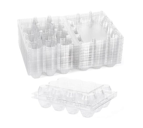 12 pcs clear cupcake boxes