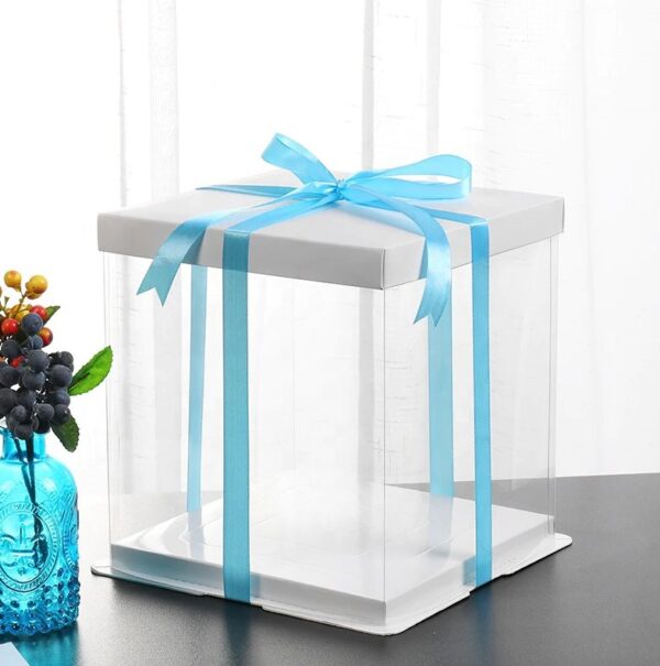 white square clear cakes box