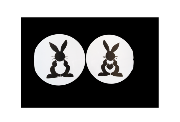 Rabbit Version-11 set of 2