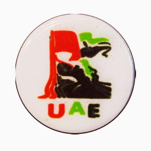 UAE National day Chocolate transfer sheet