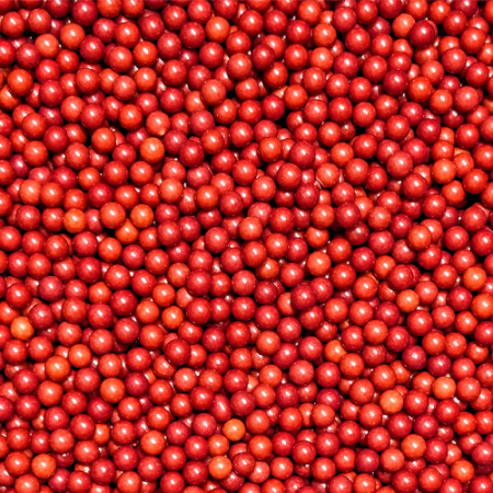 Red Pearl 4mm Sprinkles