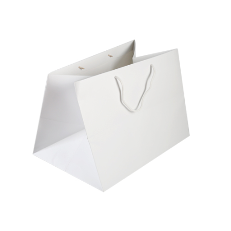 White Colour Carry Bag 1